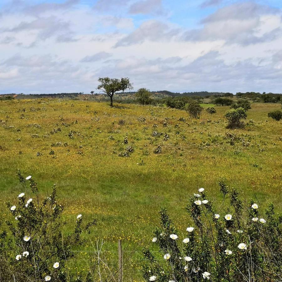 Refugio Do Bem Estar Hotel Cercal do Alentejo Kültér fotó